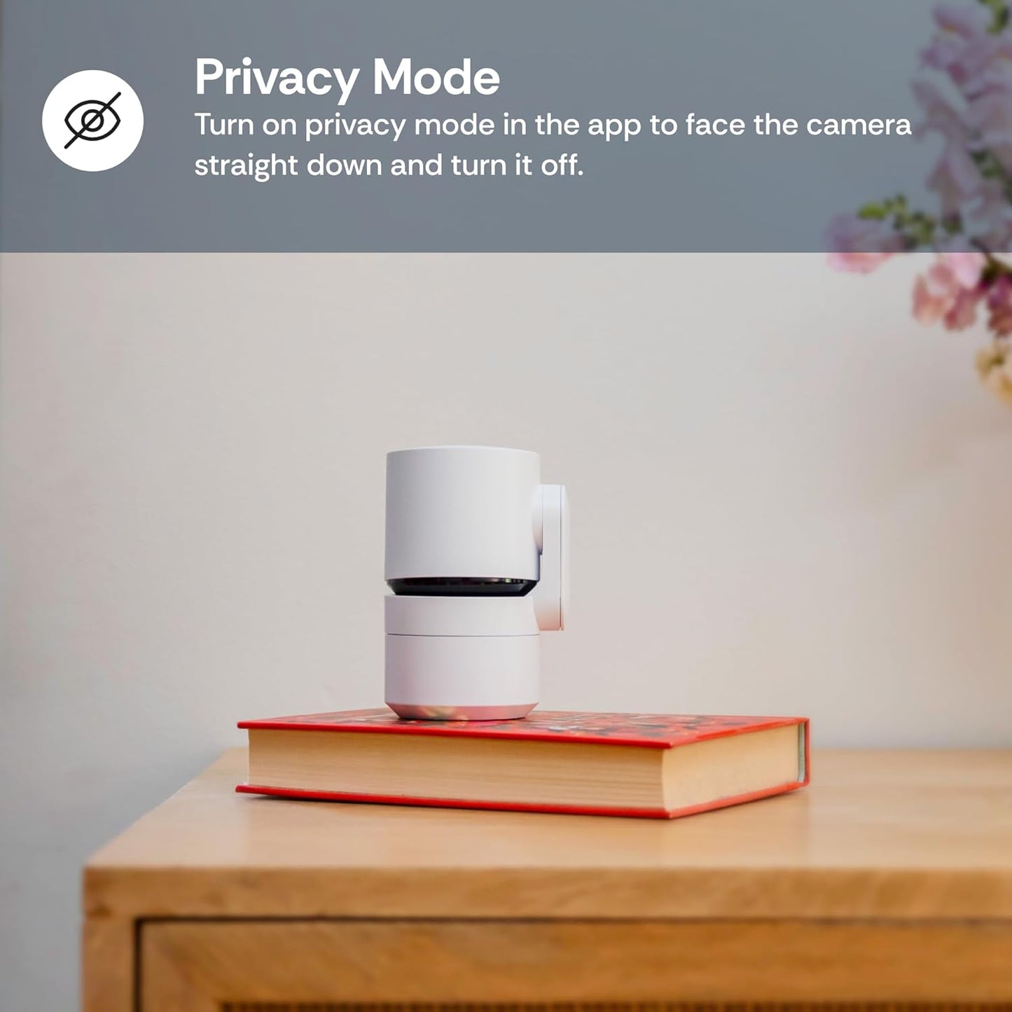 Luna Indoor Camera 360-Degree Pan/Tilt, Pet/Person/Vehicle AI Motion Detection, Plug-in, Night Vision, Two Way Audio, Cloud Storage, Wi-Fi Camera for Room Office Smart Home Security (White)