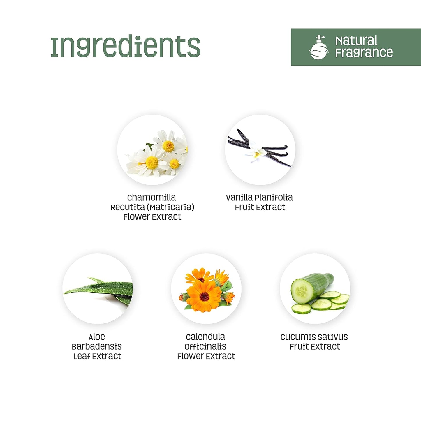 Nature's Baby Shampoo/Conditioner Combo Pack - Formulated for Problem and Sensitive Skin - EU Certified Non-Toxic - pH Neutral & Tear Free - Coconut Pineapple, 16 oz, 2 Pack