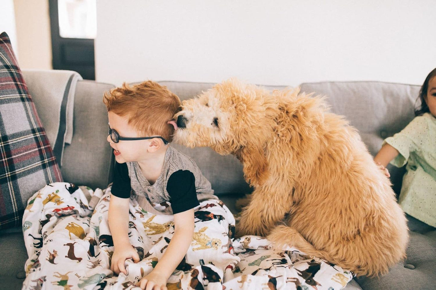 Little Unicorn Premium Quilted Throw | Super Soft, Multi-Layered Muslin XL Blanket| Great for Kids & Families (Woof)