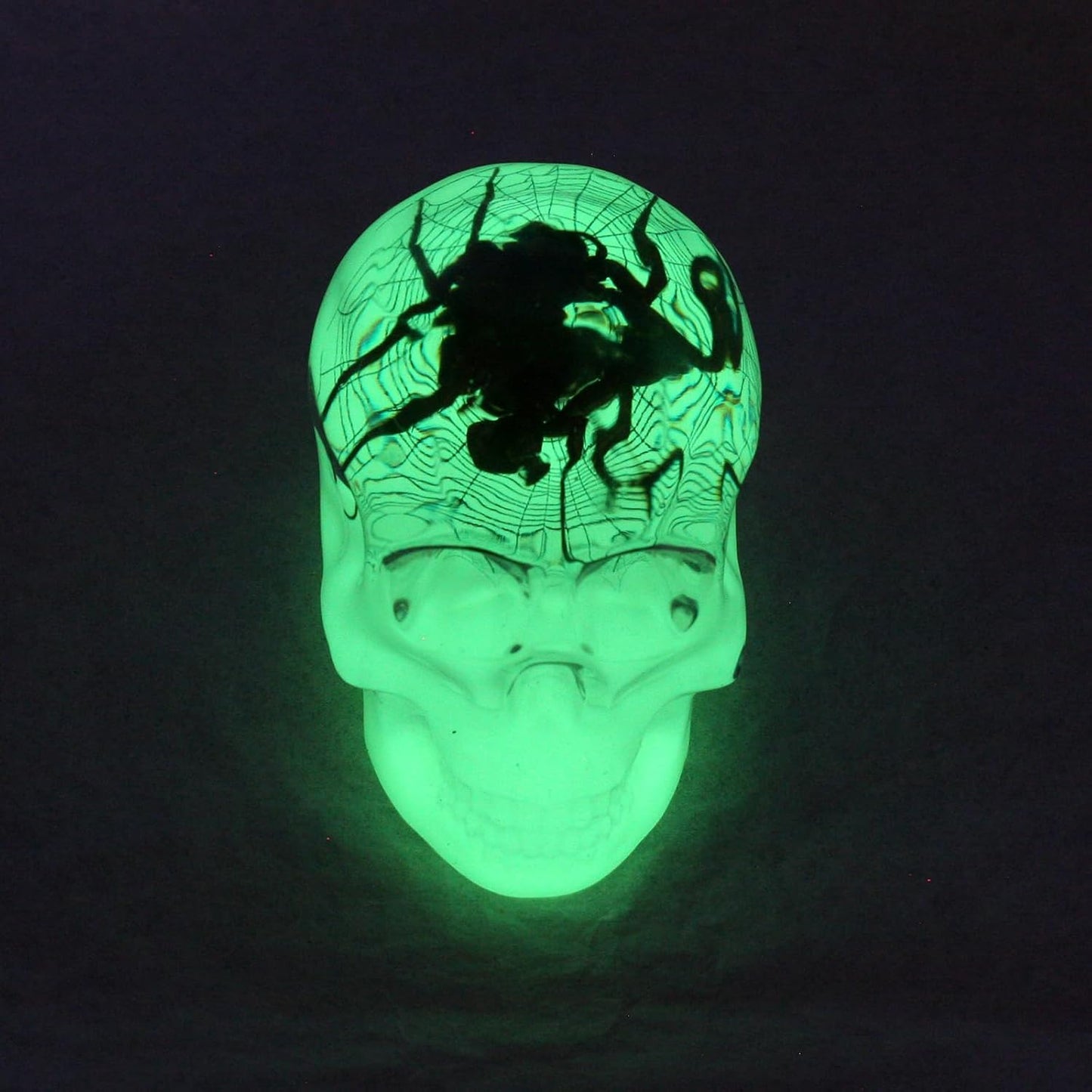REALBUG 3" Real Spider Glow in The Dark Desk Decoration in an a Acrylic Skull with Web Background