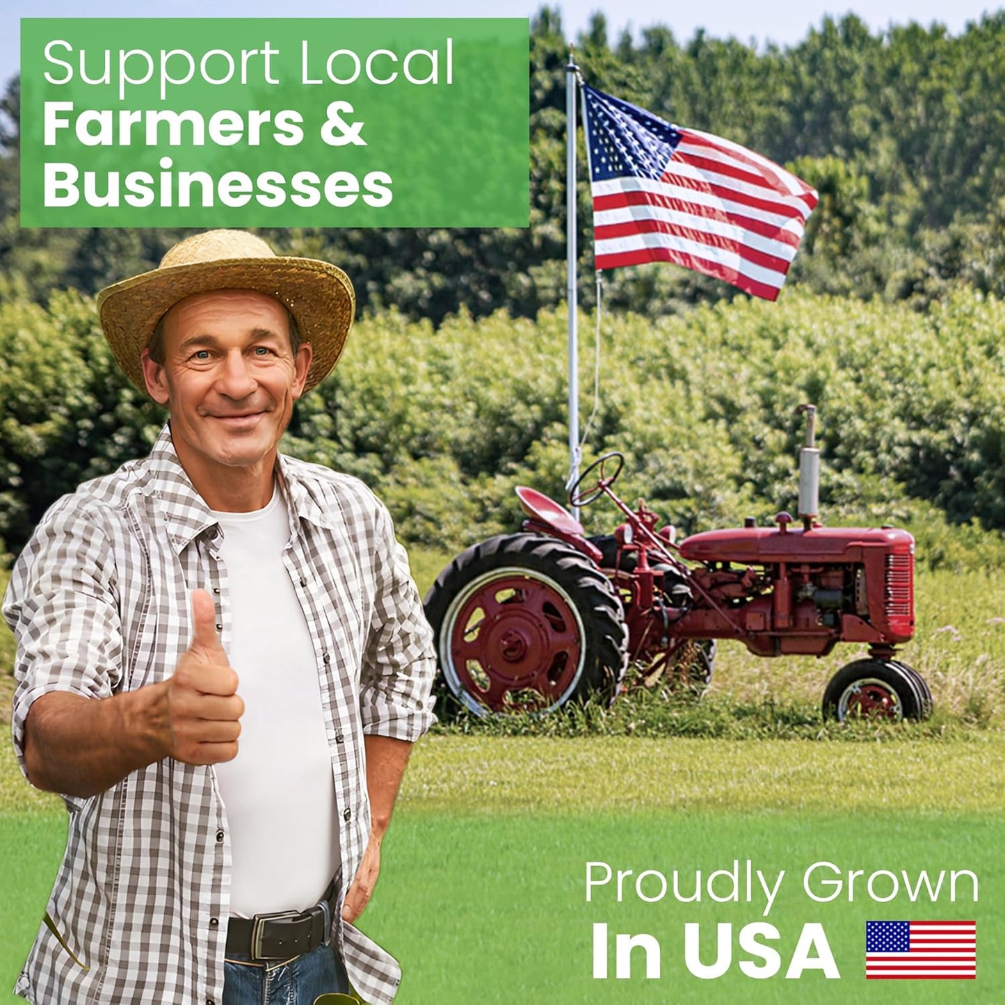 Bean Products 20" x 30" Queen Bed Pillow for Sleeping – Organic Millet Fill with Organic Cotton Fabric, Soft Head Pillow – Eco-Friendly, Breathable, and Durable Sleep Aid, Made in The USA