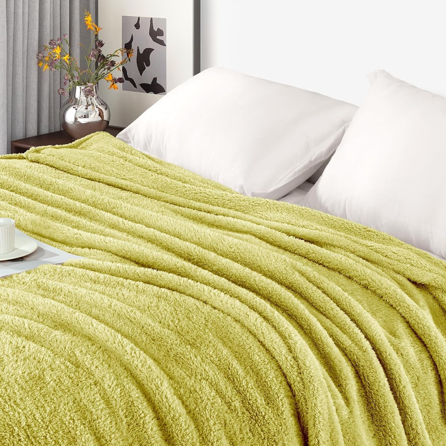 Exclusivo Mezcla Fleece Throw Blanket for Couch Sofa, Soft Warm and Fluffy Blankets for Women Men Girls Kids, Suitable for All Seasons, Light Green, 50x60 Inches