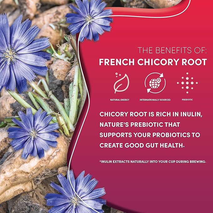 Teeccino Dandelion Dark Roast Herbal Coffee, 1.1 Pound - Caffeine-Free Coffee Alternative with Prebiotics, Gluten Free, Acid Free, Organic