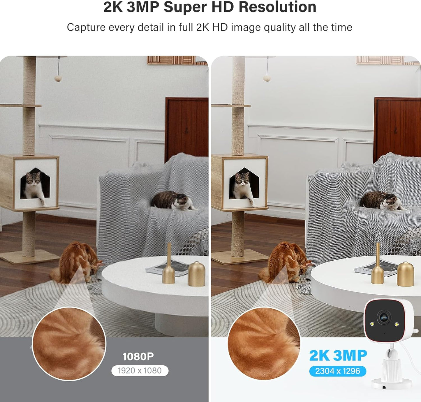 Jennov Outdoor/Indoor Security Cameras 5Ghz/2.4Ghz, 2K HD WiFi/Color Night Vision/Motion Detection /2-Way Audio/IP66 Waterproof Pet Dog Cat Baby Monitor Camera for Home Security