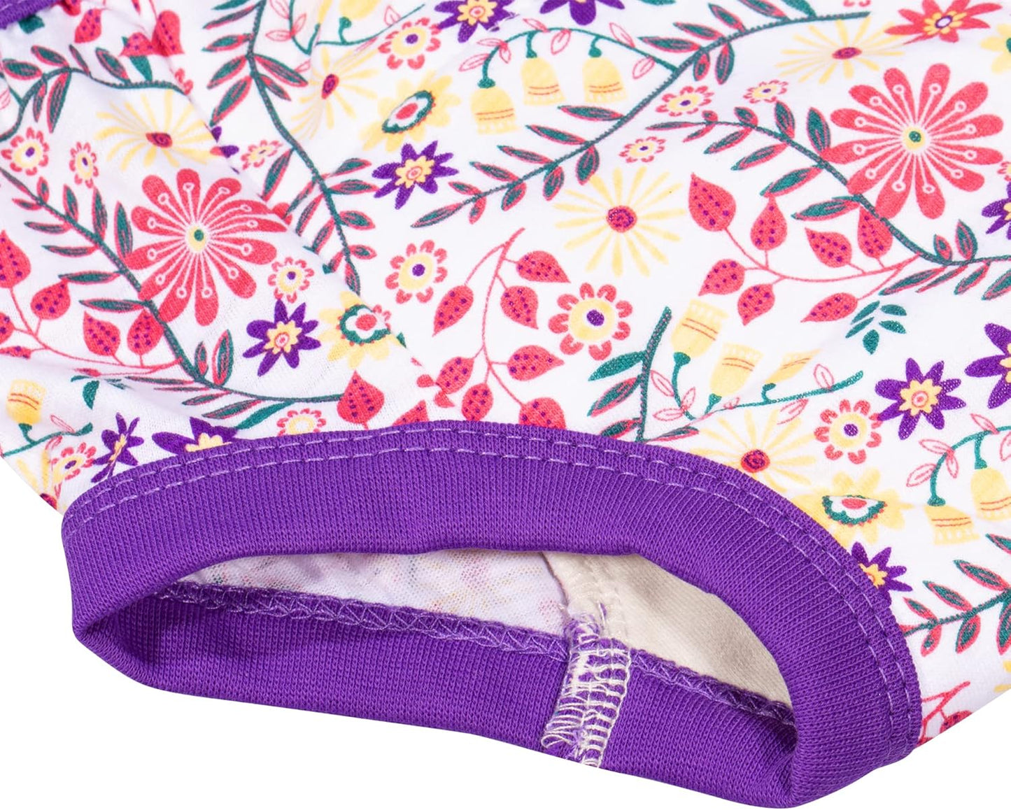 BIG ELEPHANT Potty Training Underwear - 10 Pack, 100% Cotton Absorbent Unisex Toddler Pee Pants for Boys Girls