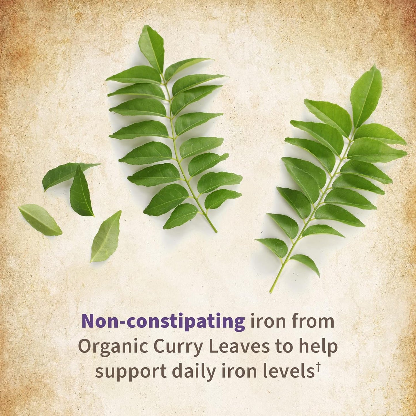 Garden of Life Organics Prenatal Vitamins - 30 Tablets, Prenatal Once Daily Whole Food Vitamins for Women with Folate not Folic Acid, Vitamin D3, Iron, Vegan One a Day Prenatal Multivitamin