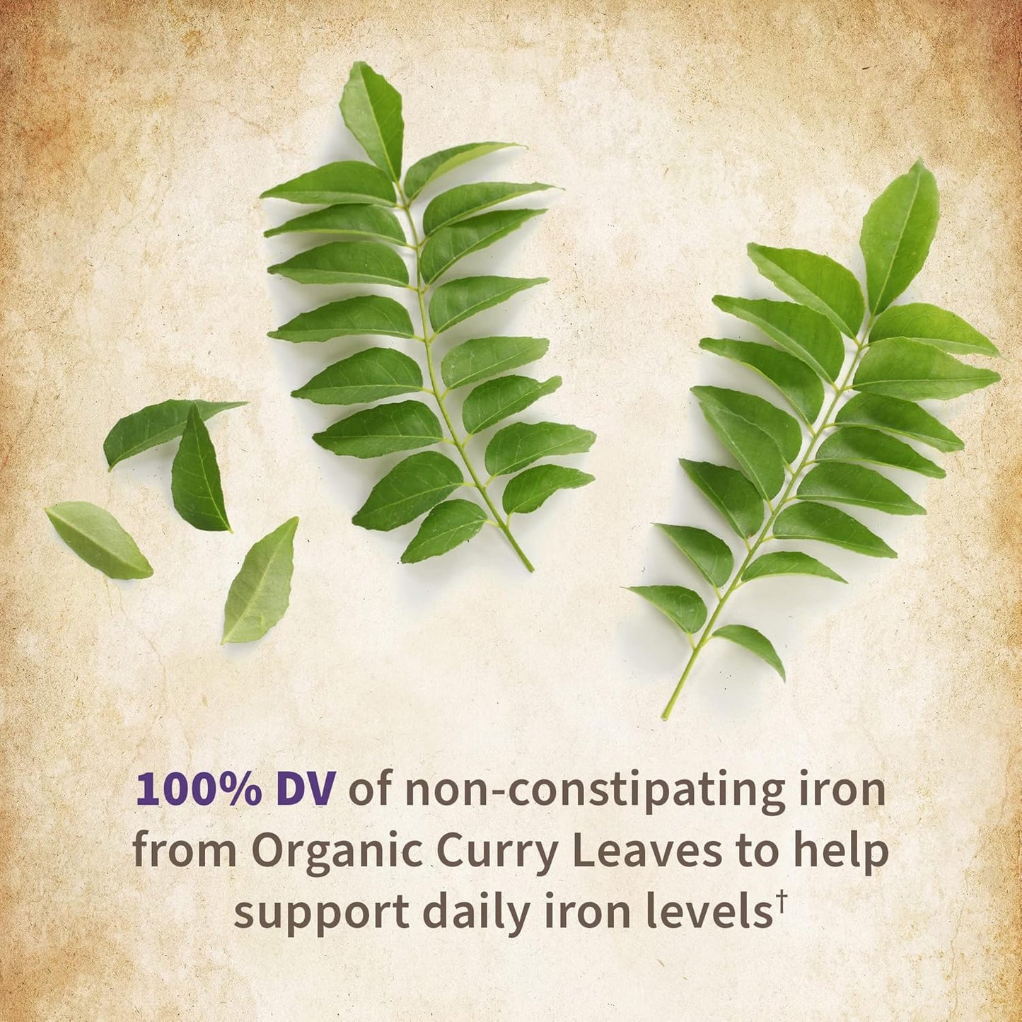 Garden of Life Organics Prenatal Vegan Whole Food Multivitamin Tablets, Folate not Folic Acid & Stomach Soothing Blend for Women, Peppermint, 180 Count